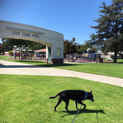 Live Oak Park photo 1